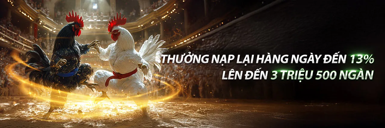 Sân đấu đá gà trực tuyến sôi động tại x8bet nhà cái